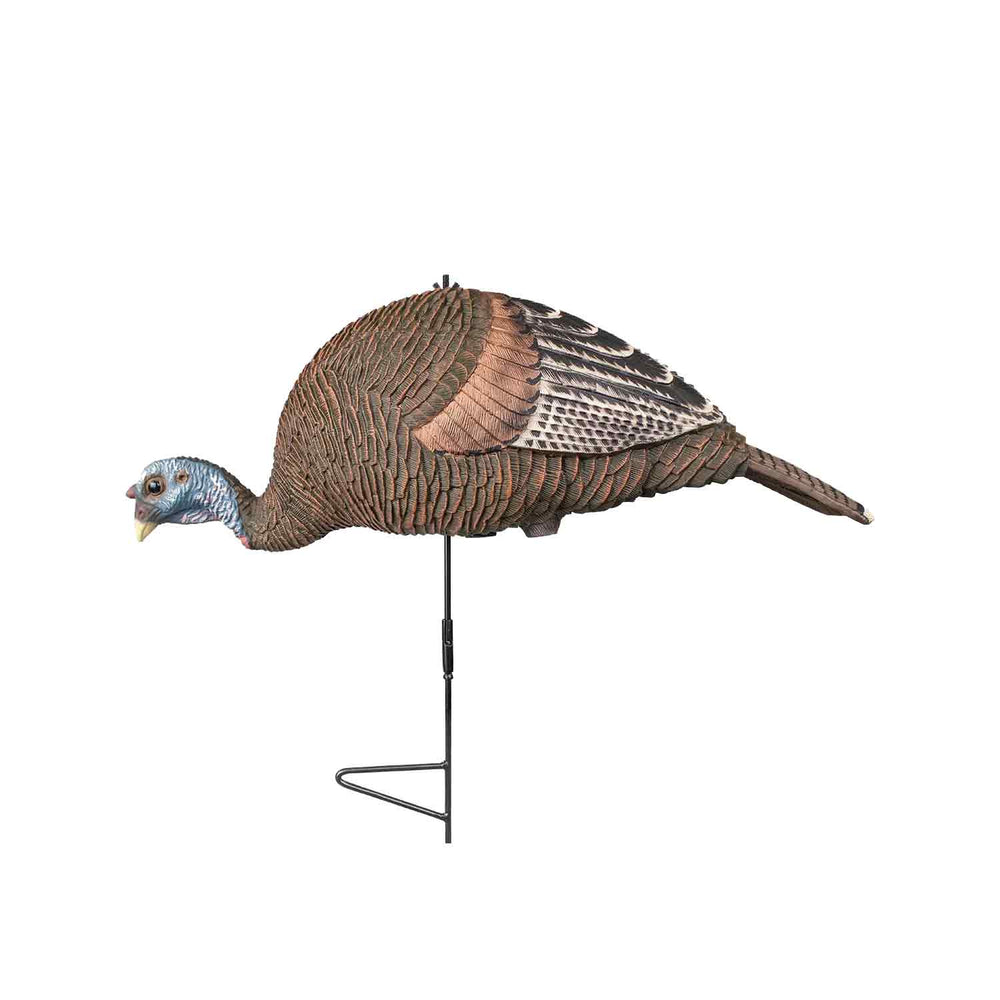 Knight and Hale Turkey Hen Decoy