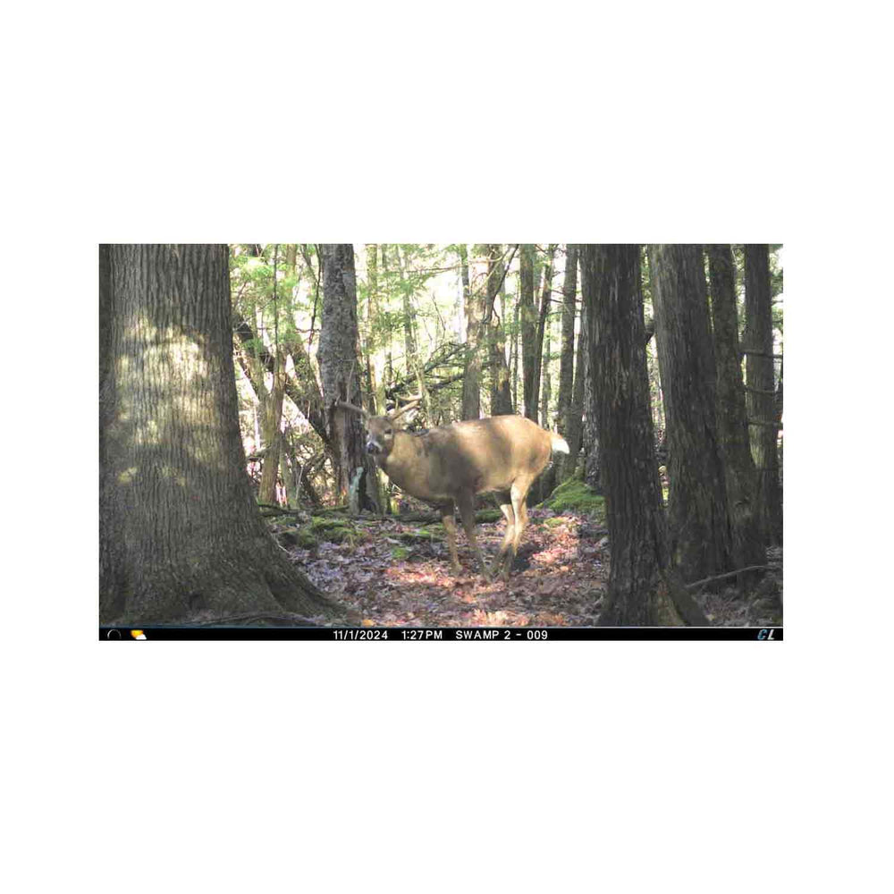 Cuddeback CuddeLink Zoom IR Cell Trail Camera