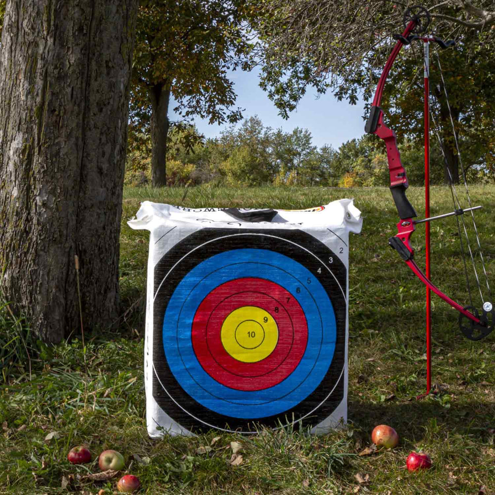 Rinehart NASP Homework Bag Target