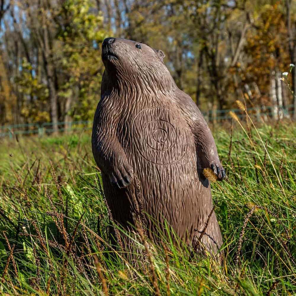 Rinehart Signature Groundhog Target