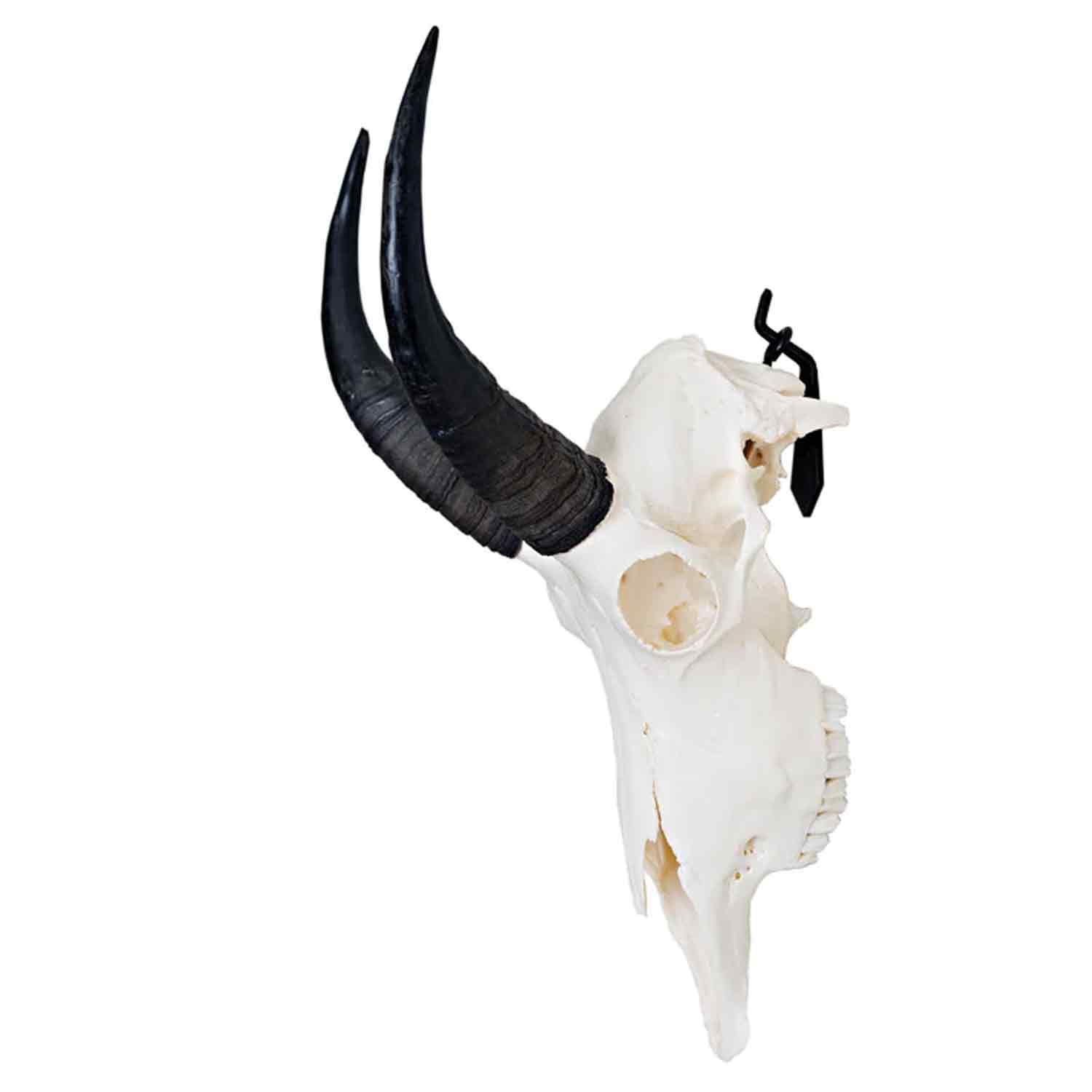 Dead On Display Euro Mount Bracket