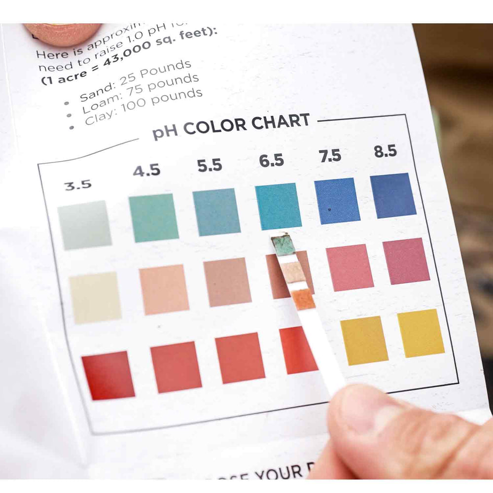 Domain pH Soil Test Kit