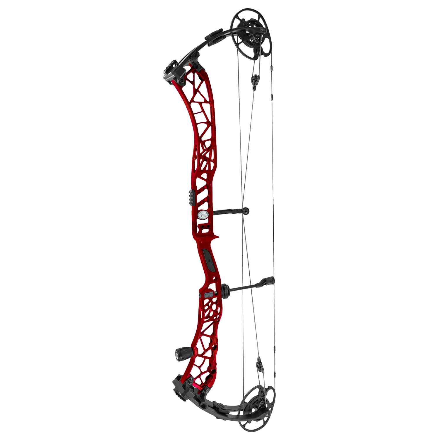 Elite Victra 40 Compound Target Bow