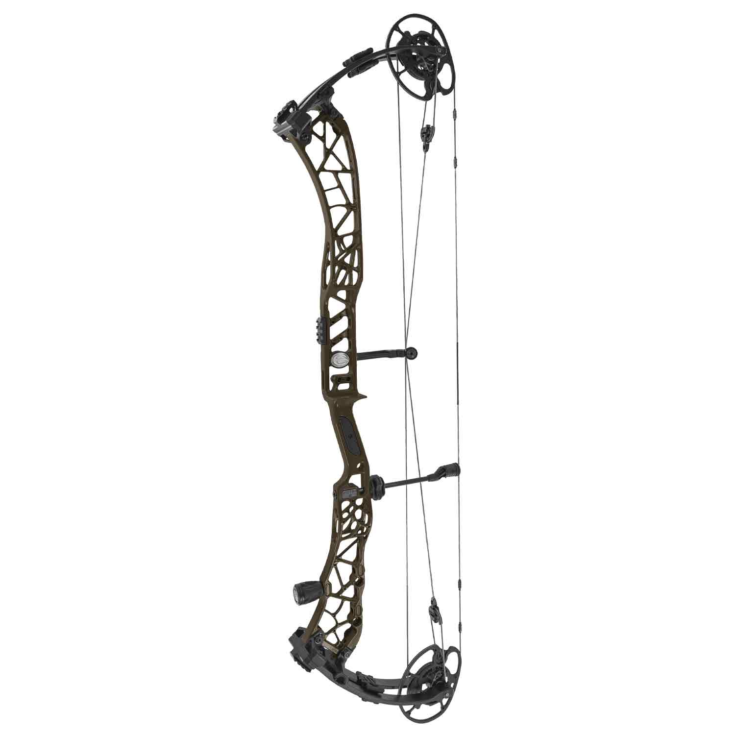Elite Victra 40 Compound Target Bow