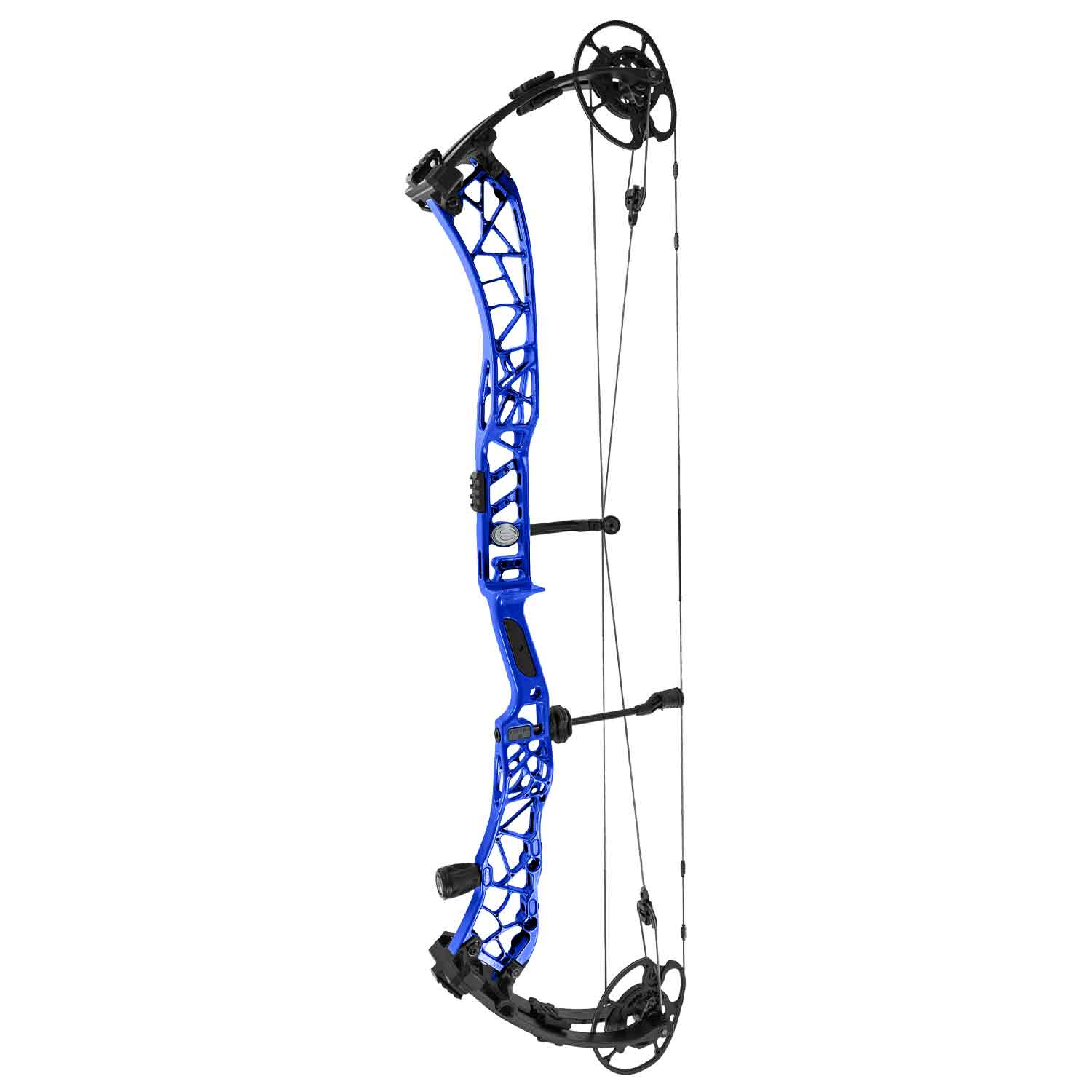 Elite Victra 40 Compound Target Bow