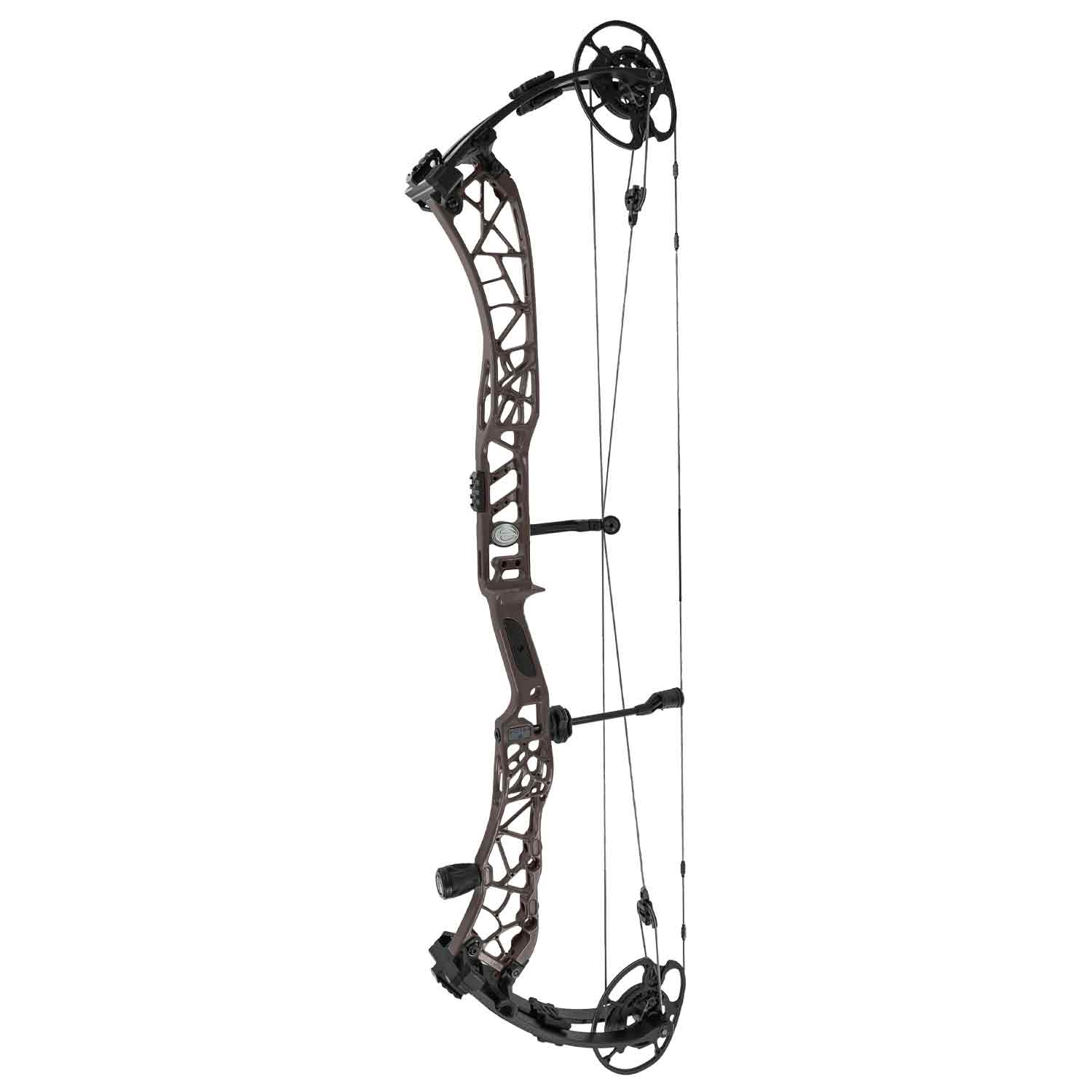 Elite Victra 40 Compound Target Bow