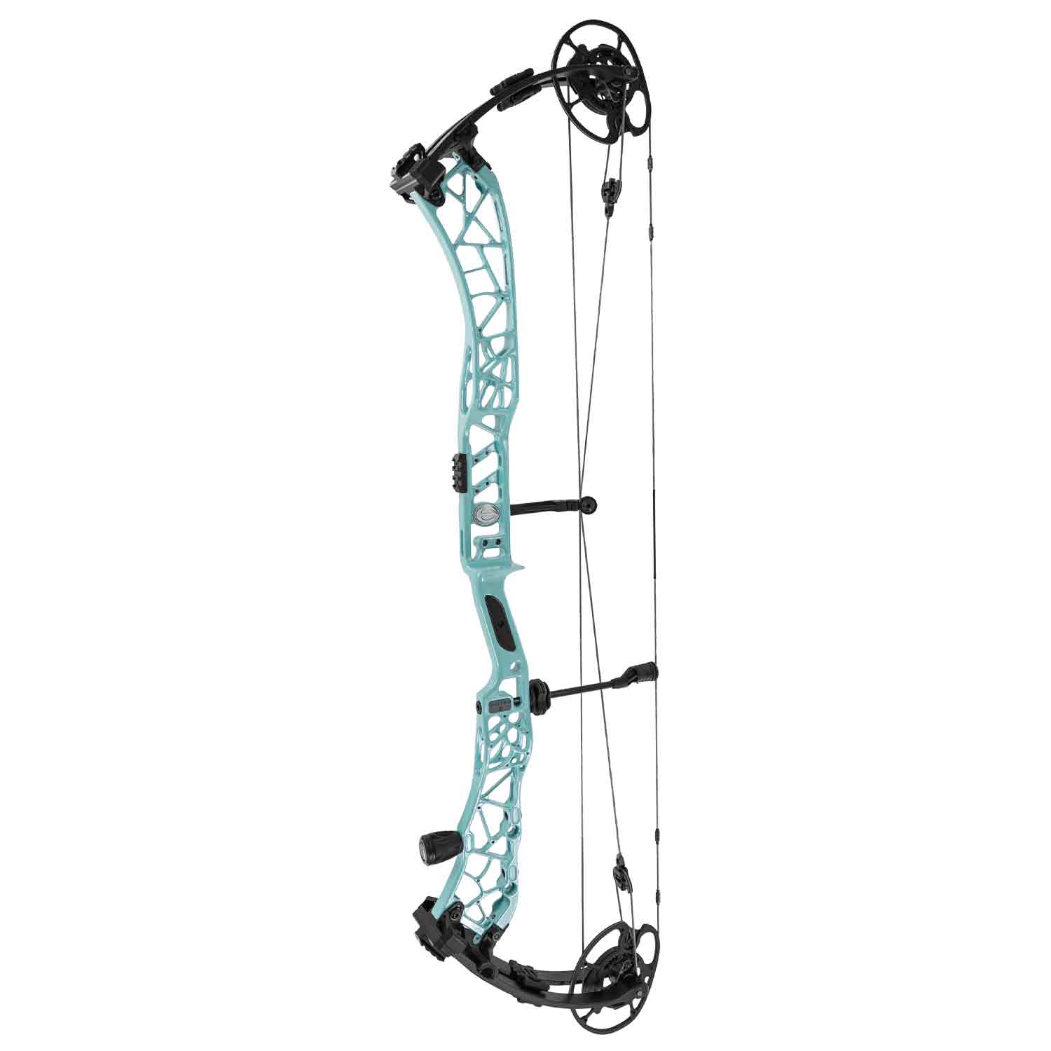 Elite Victra 40 Compound Target Bow