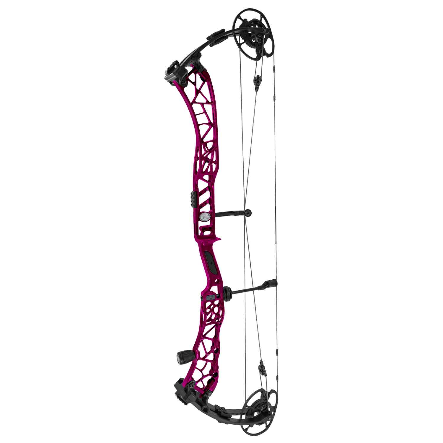 Elite Victra 40 Compound Target Bow