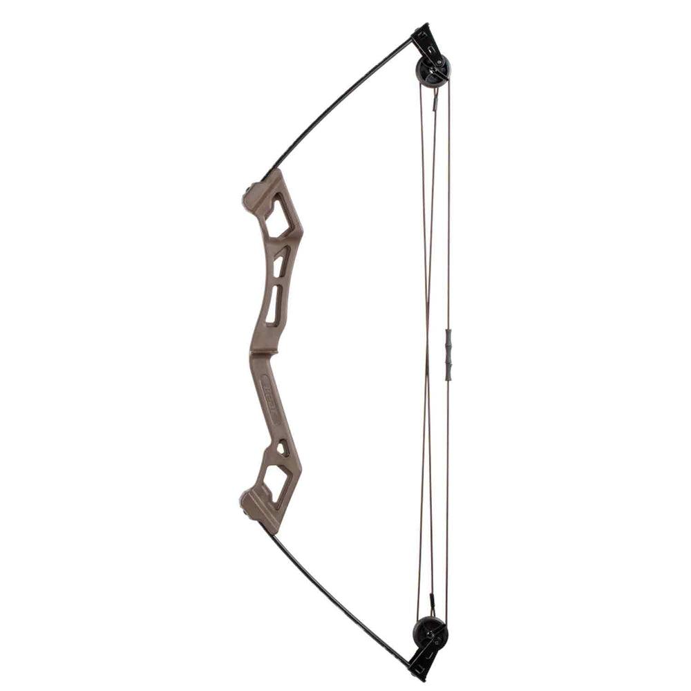 Bear Apprentice Compound Bow