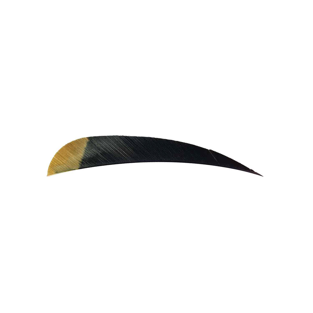 Ozark Eagle Tips 4