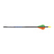 Carbon Impact Youth Fletched Arrows