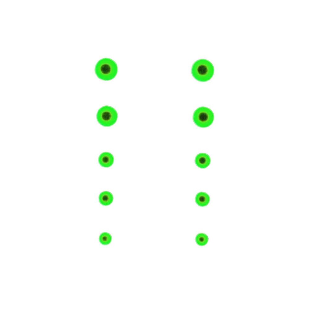 Gunstar Bi-Spectral Dots