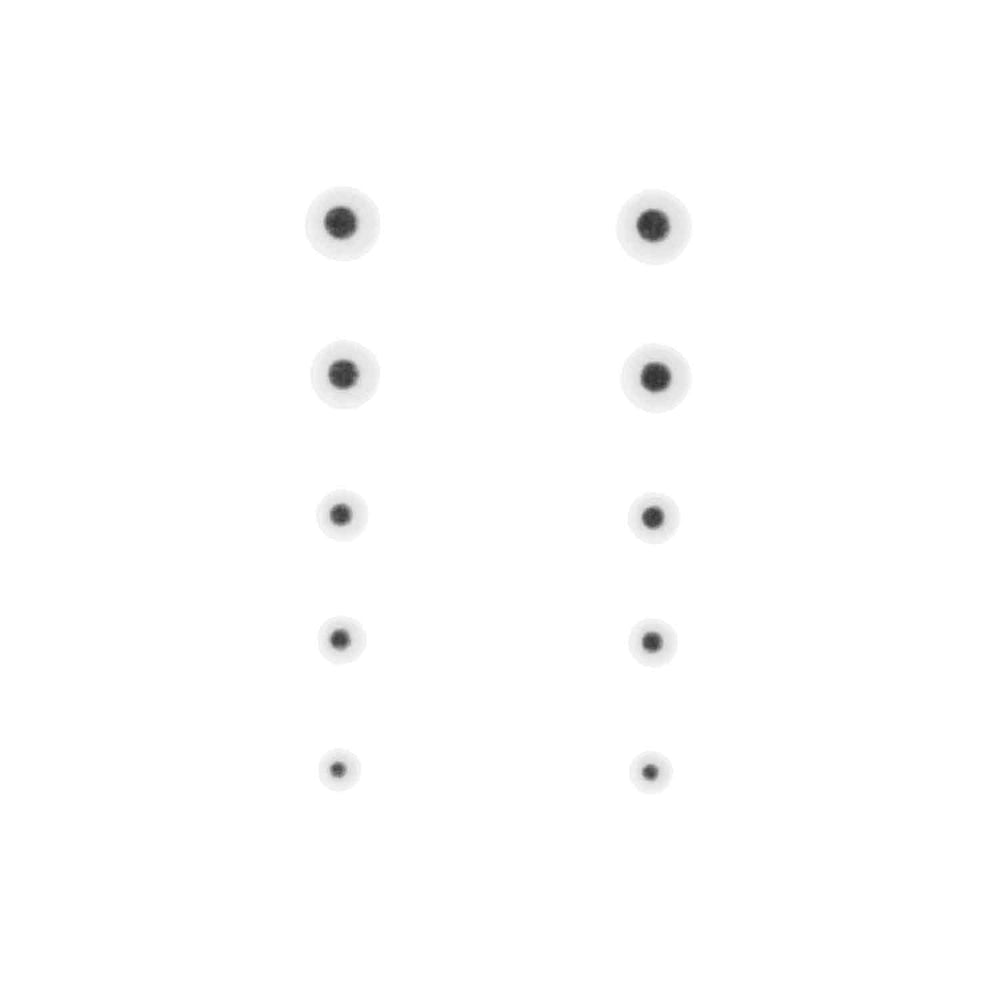 Gunstar Bi-Spectral Dots