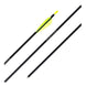 Easton XX75 Genesis Arrow