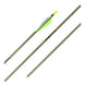Easton XX75 Genesis Arrow