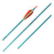 Easton XX75 Genesis Arrow