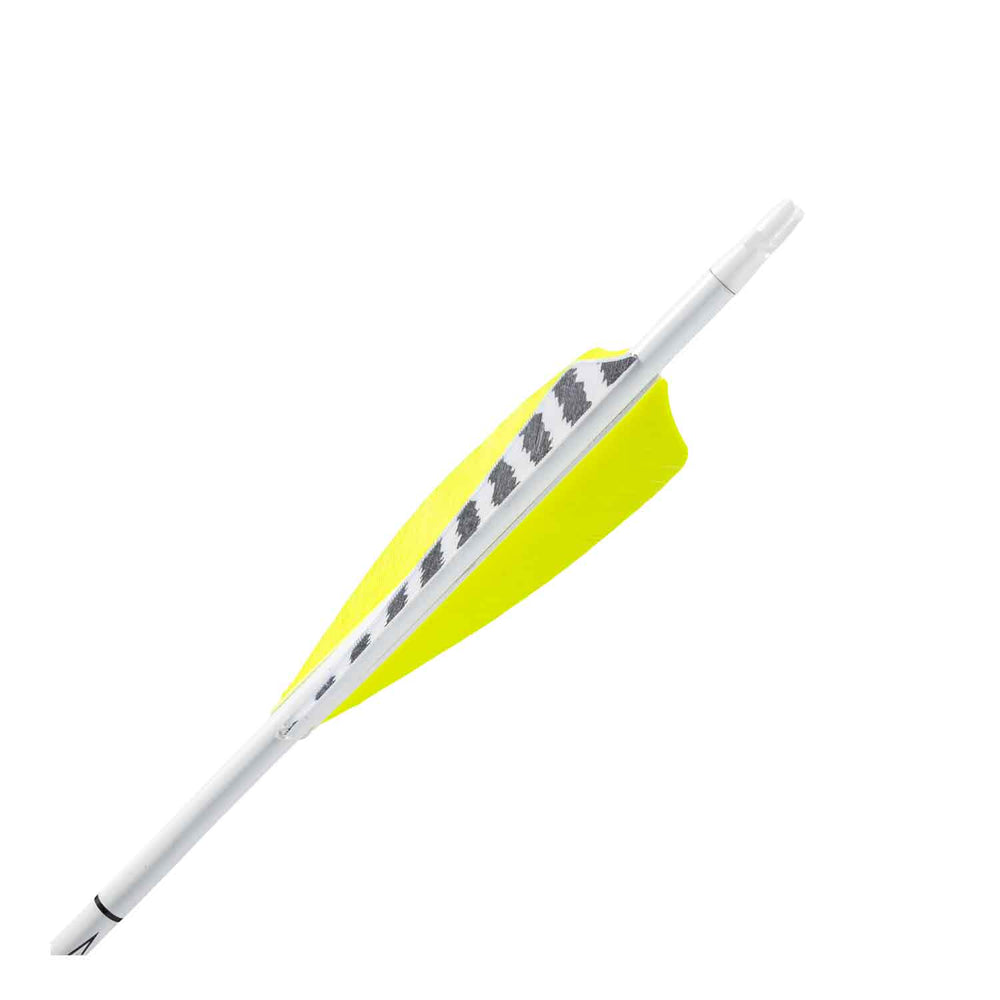 Easton Carbon Legacy Feather Fletched Arrows