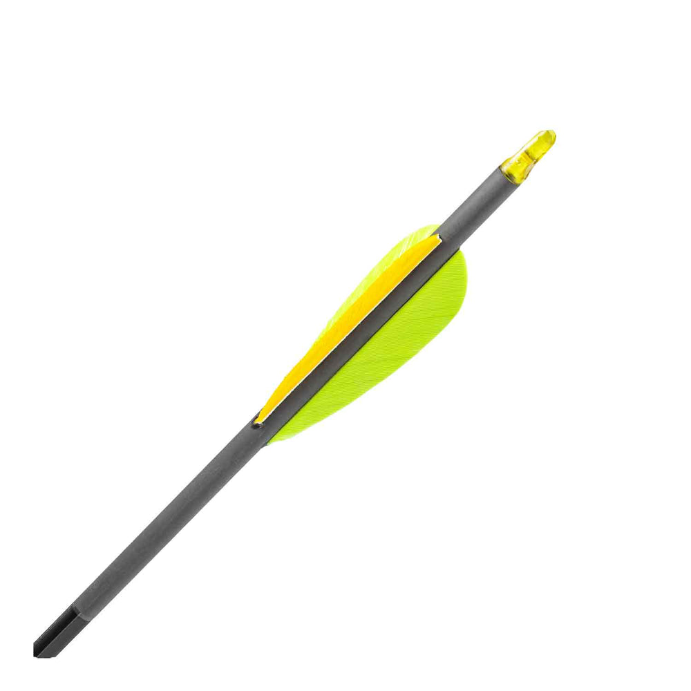 Carbon Express Predator II Fletched Arrow (Feathers)