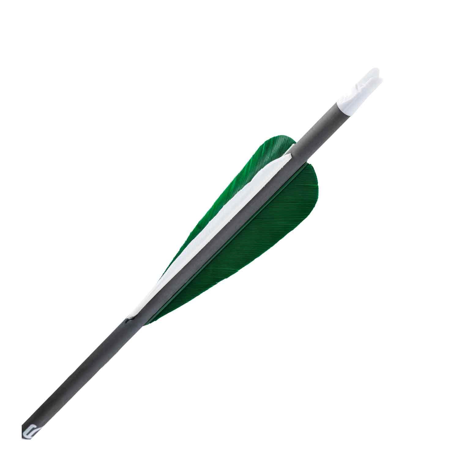 Gold Tip Warrior Feather Fletched Arrow