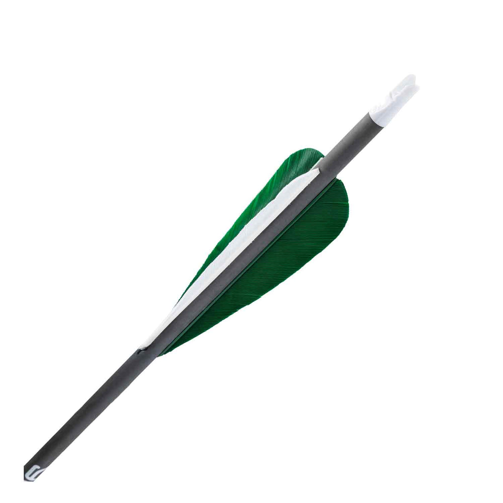 Gold Tip Warrior Feather Fletched Arrow