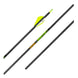 Gold Tip Hunter XT Fletched Arrows