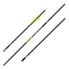 Gold Tip Pierce Platinum Fletched Arrows
