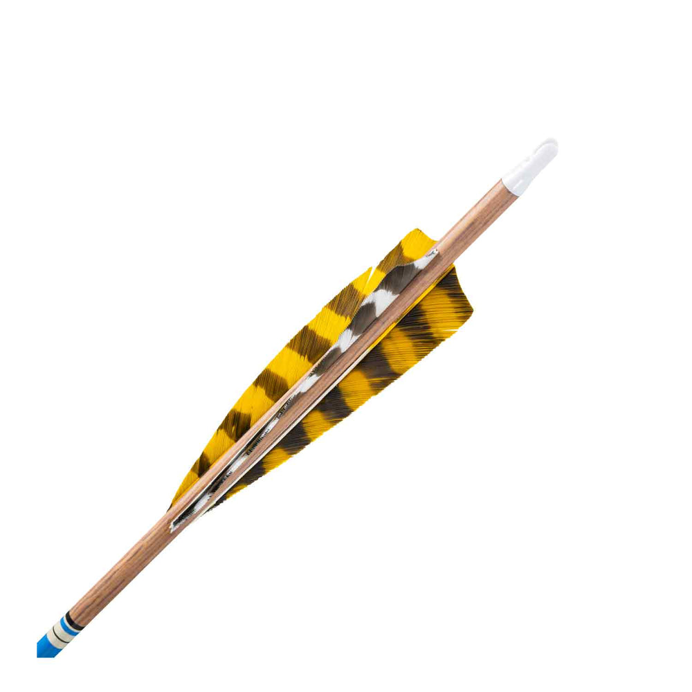 Gold Tip Traditional XT Feather Fletched Arrows