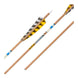 Gold Tip Traditional XT Feather Fletched Arrows