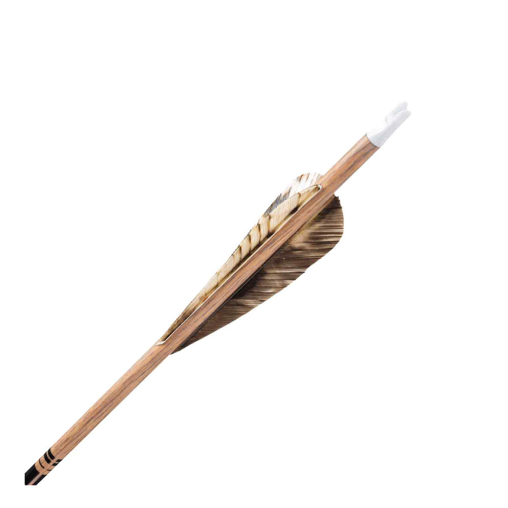 Gold Tip Traditional Feather Fletched Arrows