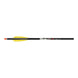 Wicked Ridge XX75 Crossbow Arrows w/ Alpha-Nocks