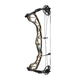 Hoyt Torrex XT Compound Bow