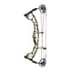 Hoyt Torrex XT Compound Bow