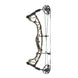 Hoyt Torrex XT Compound Bow