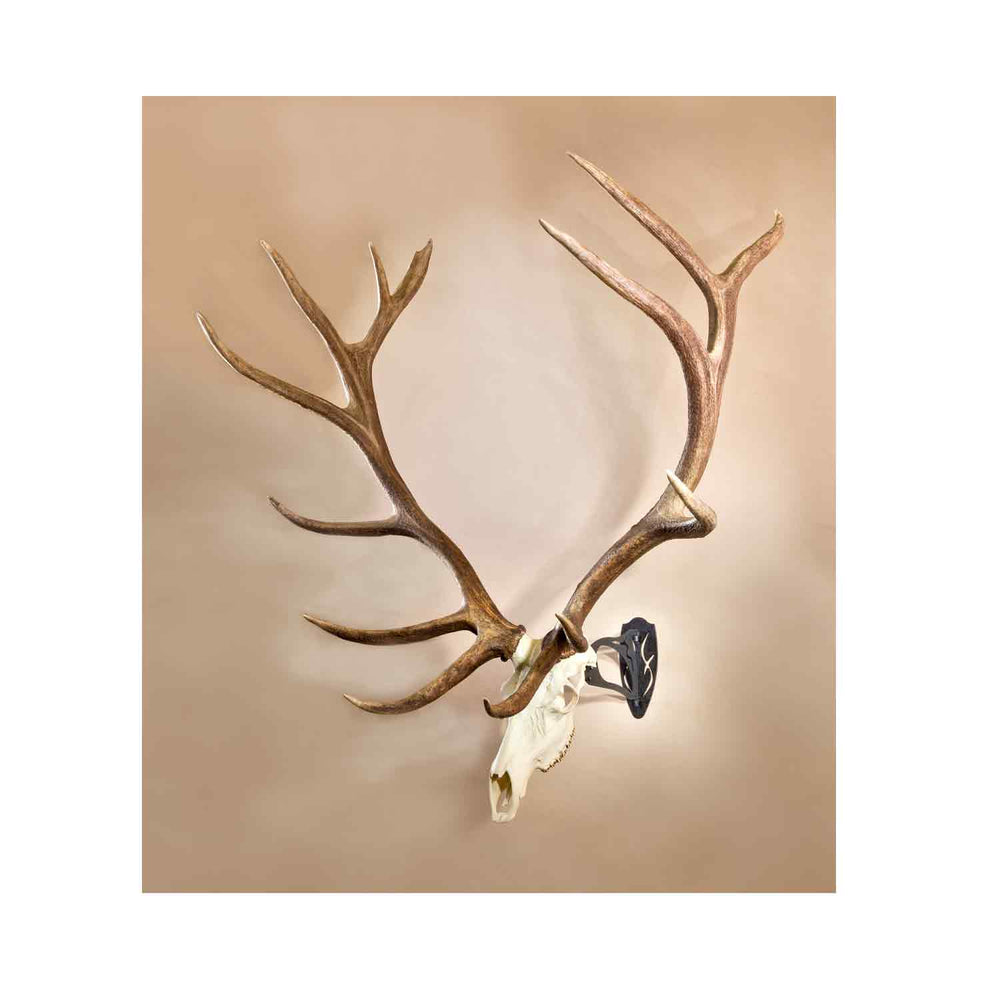 Skull Hooker Big Hooker