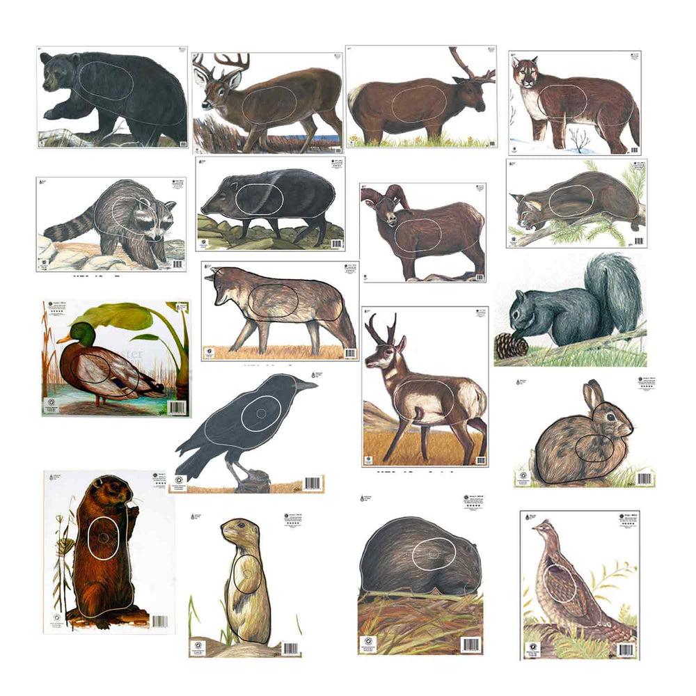Maple Leaf Official NFAA A-1 Animal 14 Target Set
