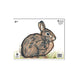 Maple Leaf Official NFAA Animal Target (Group 4)