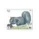Maple Leaf Official NFAA Animal Target (Group 4)