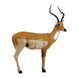 Delta McKenzie African Impala XT 3D Target