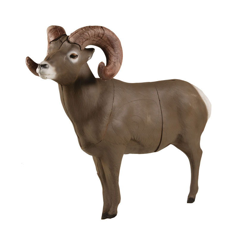 Delta McKenzie Bighorn Sheep Pro Series 3D Target