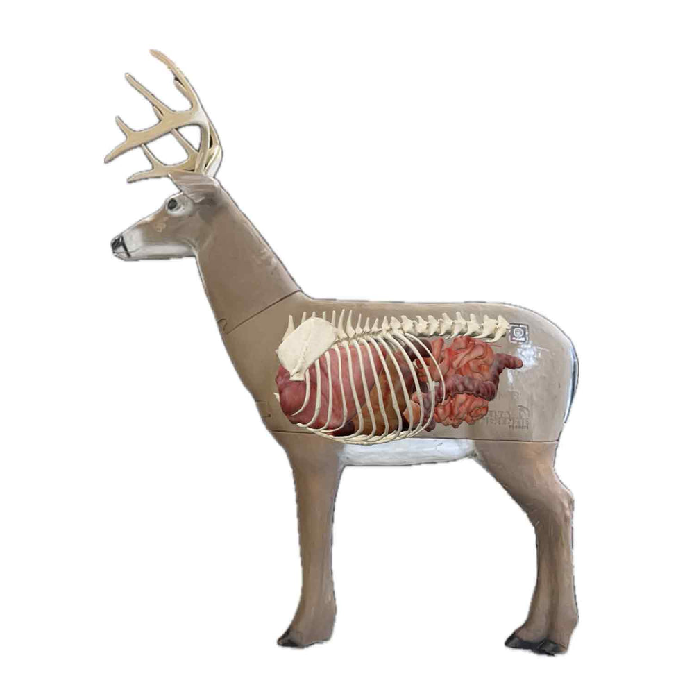 Delta McKenzie Big Daddy Buck QuivAR Enabled Pro 3D Target