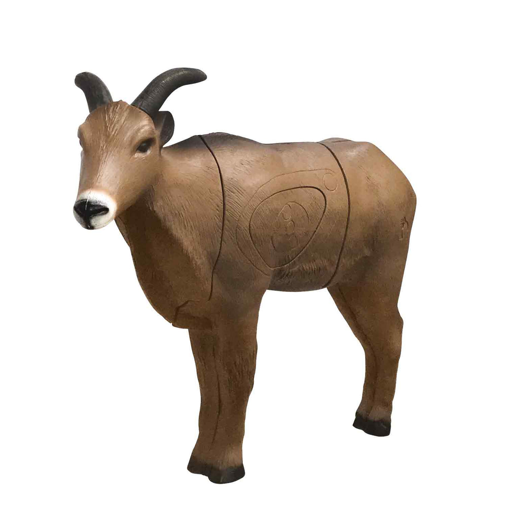 Delta McKenzie Aoudad Pro Series 3D Target