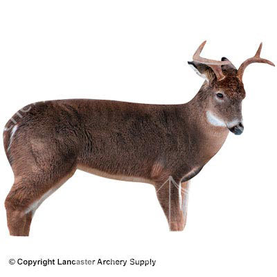 Montana Decoy The Freshman Whitetail Deer Decoy (Open Box X1036954)