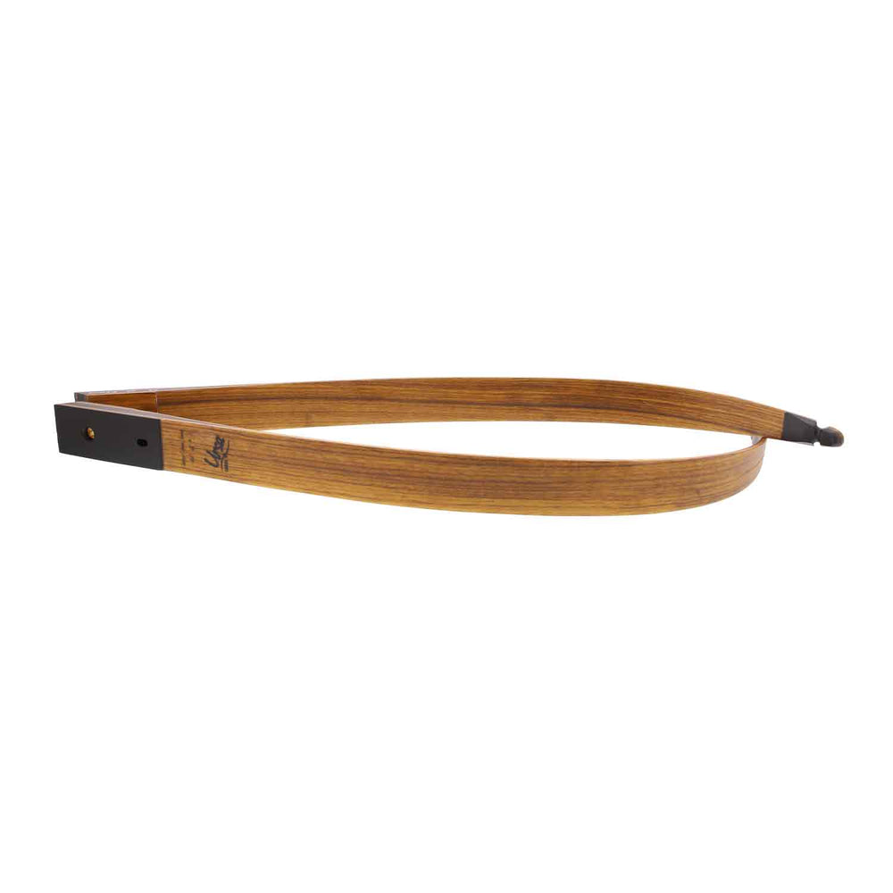 Galaxy Ursa  Take-Down Recurve Limbs