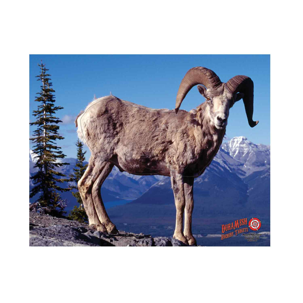 DuraMesh Archery Targets