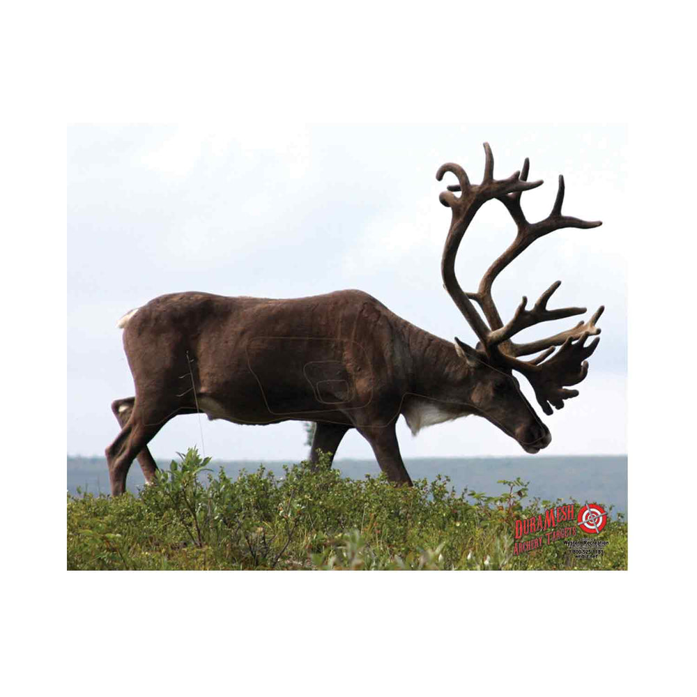 DuraMesh Archery Targets