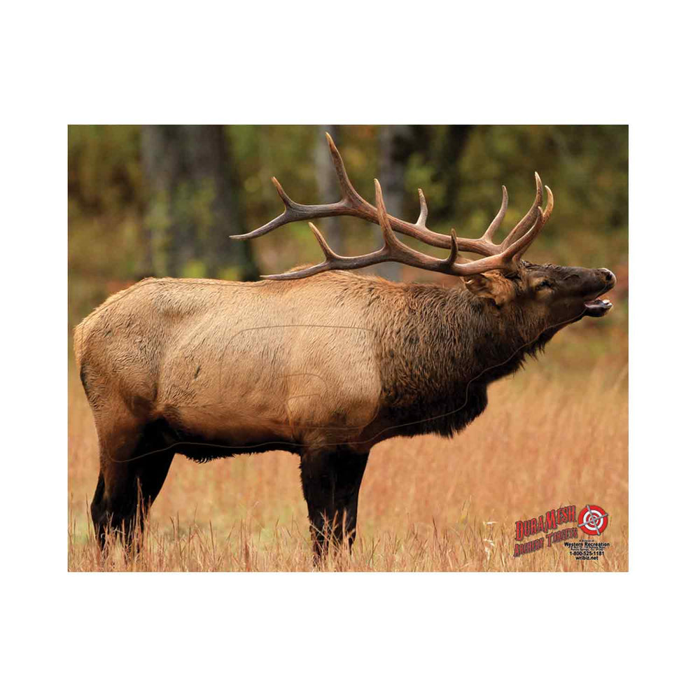 DuraMesh Archery Targets