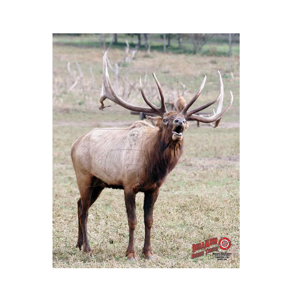 DuraMesh Archery Targets