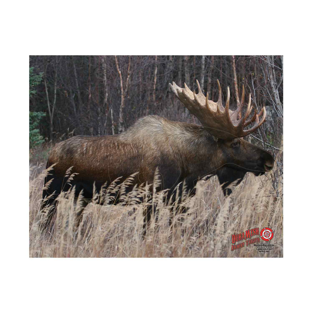 DuraMesh Archery Targets