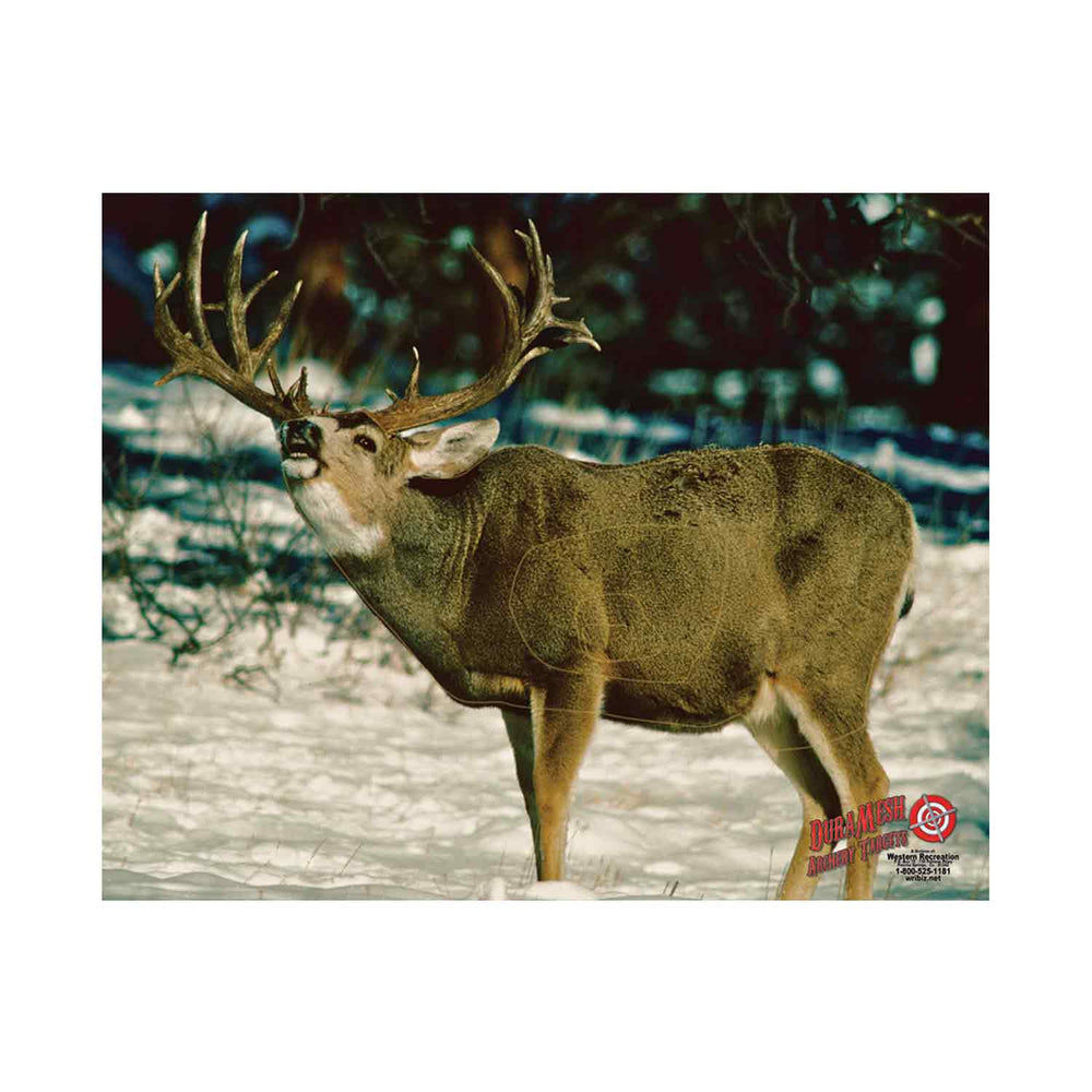 DuraMesh Archery Targets