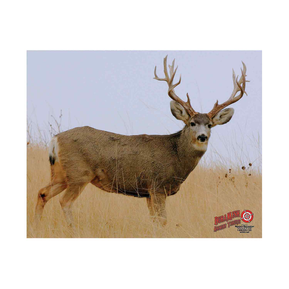 DuraMesh Archery Targets